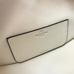 Valentino Small Vlogo Moon Hobo Bag In Grainy Calfskin With Chain